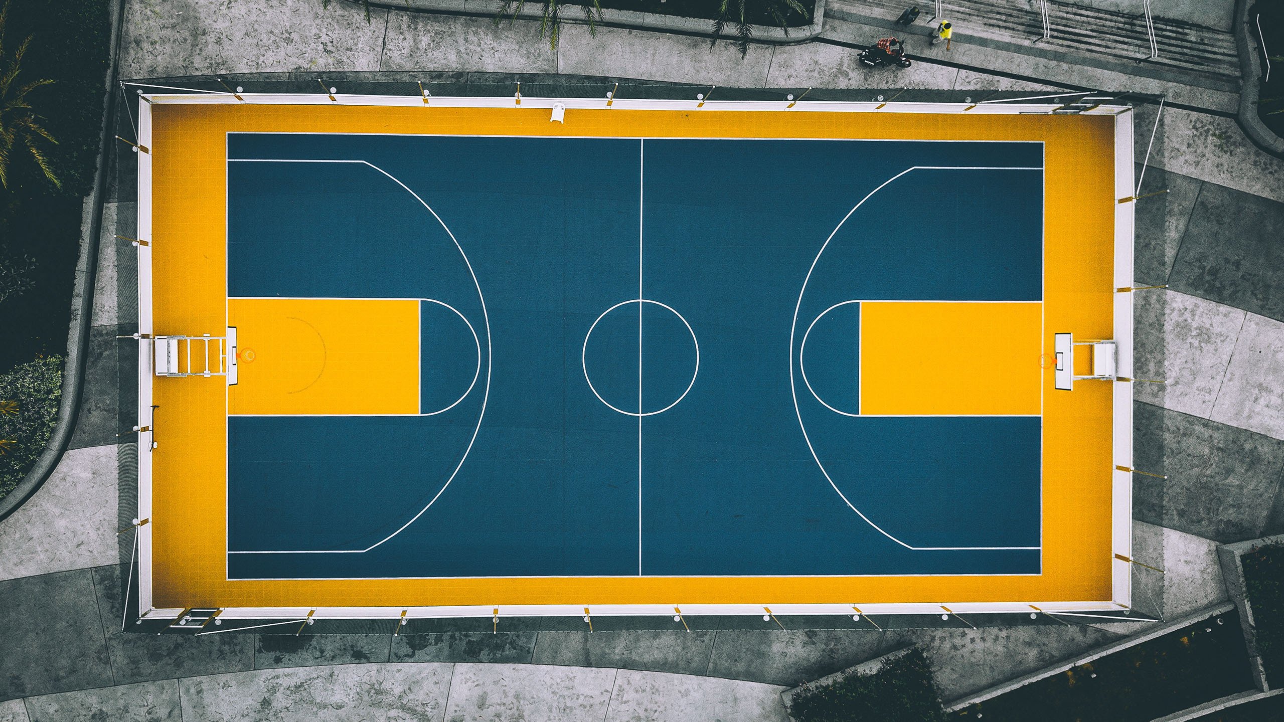 皇冠体育app-重磅!马德里竞技集体跨界NBA总决赛?东契奇湖人赛场迷之操作,苏炳添怒砍59分引爆体坛